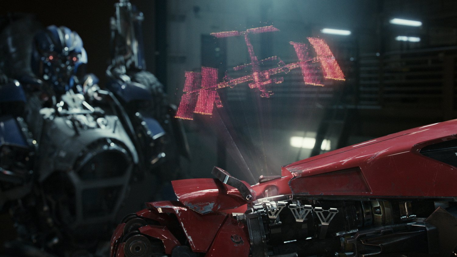 BumbleBee_reel_05022019+(00883).jpg